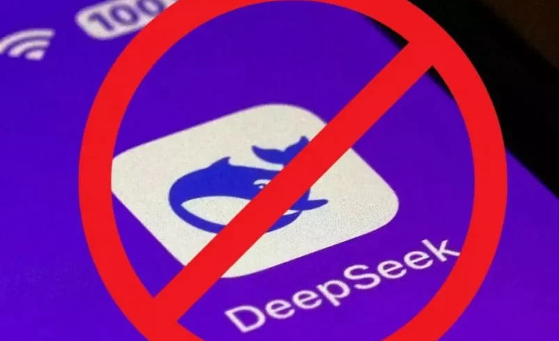 وبلاگ یوکا - deepseek ban 910x600.jpg