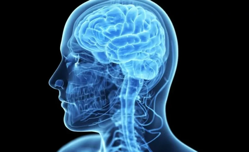 وبلاگ یوکا - first stroke rehabilitation drug 1 1 910x600.jpg